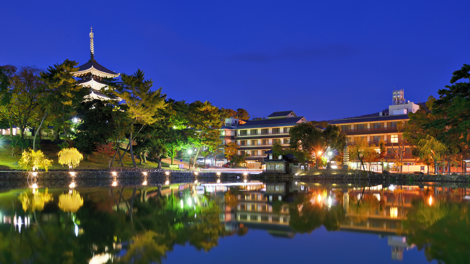 Nara, Japan Skyline